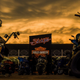 Image for article titled Harley-Davidson Is Finally Doing A Bit Better Than Expected